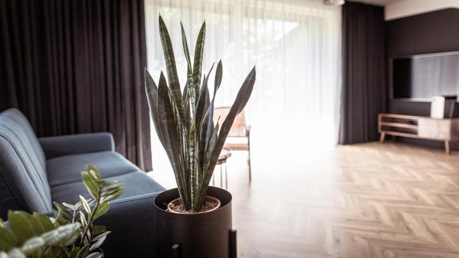 Apartments Abcd Biala Podlaska Bagian luar foto